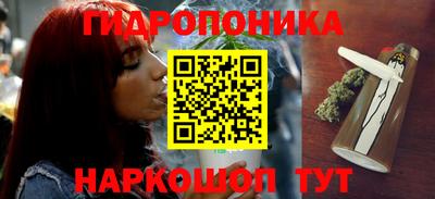 индика Кулебаки