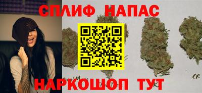 индика Кулебаки